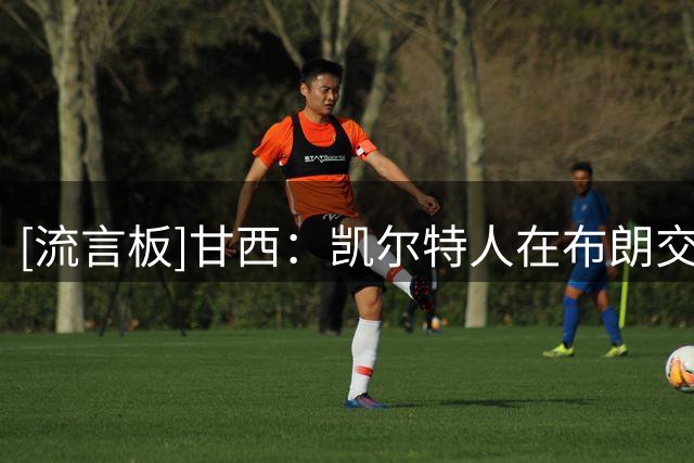 [流言板]甘西：凯尔特人在布朗交易中收获很多，2028届选秀会很不错